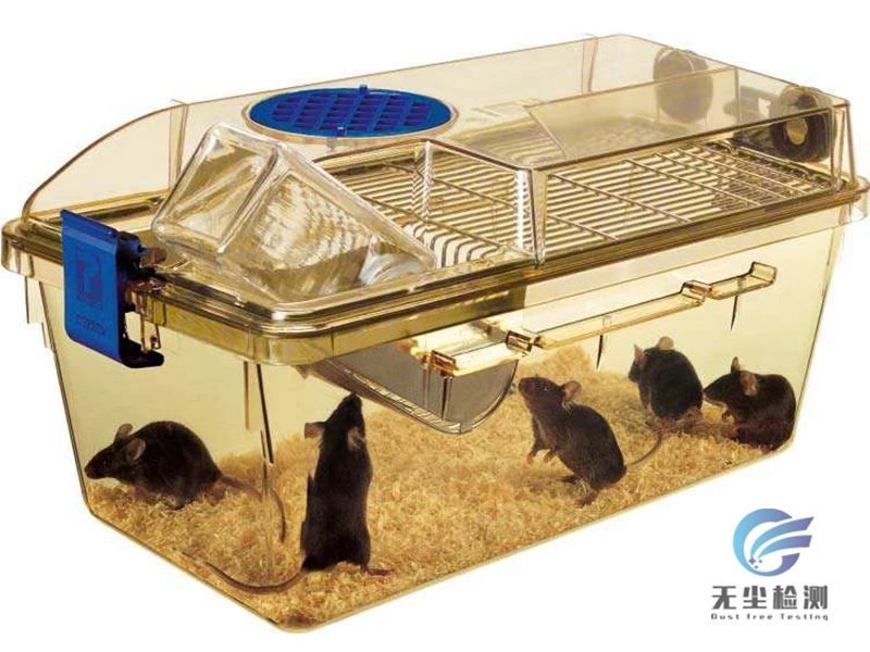 独立通风笼具（IVC）检测